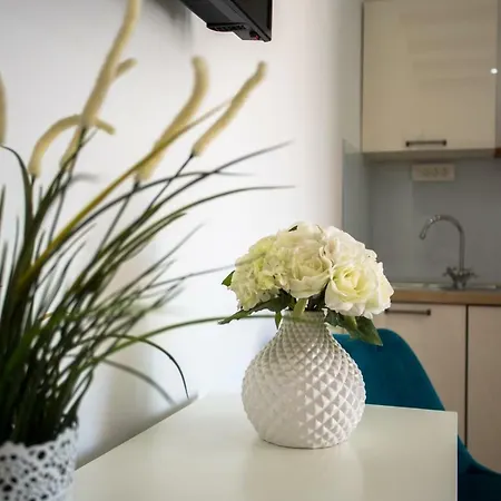 Apartment Katriga Luxury Studio, 4**** Old Town Split